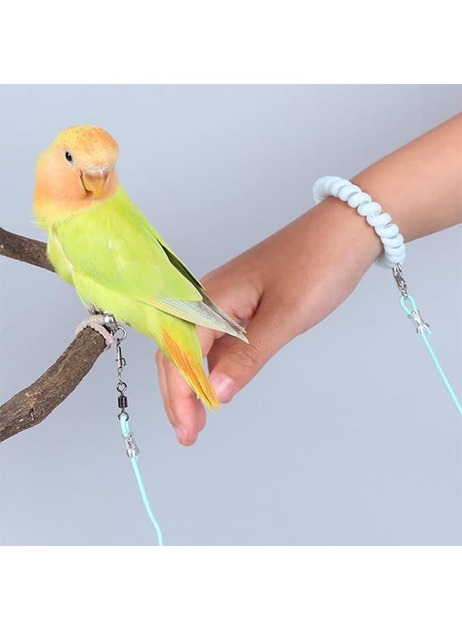 حبل تدريب الطيور، حبل طيران قابل للتعديل للببغاء، حبل جرّ طيران عالمي، أداة متينة للرحلات، لعبة تدريب خارجية للطيور، الببغاء، الكوكاتيل، الببغاء الصغير، اللوري، حبل طيران مرن بطول 3 أمتار، حلقة قدم رقم 6، أزرق - Image 4